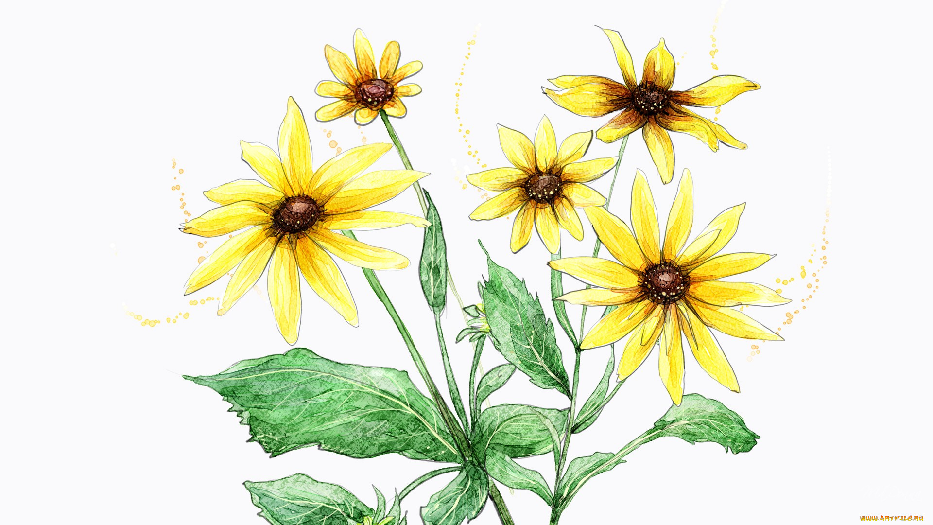 Желтые цветы нарисованные